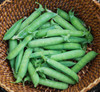 Alaska Pea Seeds