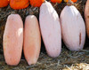 Jumbo Pink Banana Squash Seeds