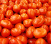 Roma Tomato Seeds