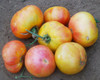 Oaxacan Jewel Tomato Seeds