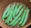 Lincoln Pea Seeds