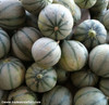 Charentais Melon Seeds