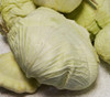 Premium Late Flat Dutch Cabbage