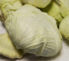 Premium Late Flat Dutch Cabbage Seeds