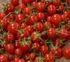 Sweet Million Tomato Seeds