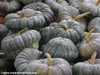 Jarrahdale Squash