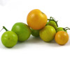 Egg Yolk Tomato Seeds