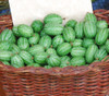 Melothria scabra - Mexican Sour Cucumber Seeds