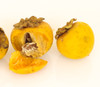 Diospyros mespiliformis - Jackalberry Seeds