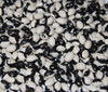 Yin Yang Bean Seeds