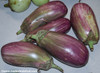 Pandora Striped Rose Eggplant Seeds