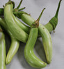 Louisiana Long Green Eggplant Seeds