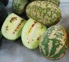 Citron Watermelon Seeds