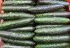 Marketmore Cucumber Seeds