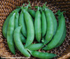 Sugar Ann Sugar Snap Pea Seeds