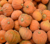 Gold Nugget Squash Seeds