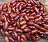 Tongue of Fire Bean Seeds