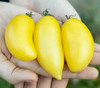 Banana Cream Tomato Seeds