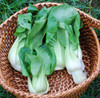 Extra Dwarf Pak Choi Seeds