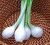 Crystal White Wax Onion Seeds