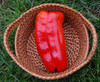 Big Bertha Hybrid Pepper Seeds