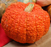 Red Warty Thing Squash