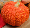 Red Warty Thing Squash Seeds