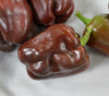 Chocolate Beauty Pepper Seeds
