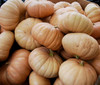 Long Island Cheese Squash Seeds