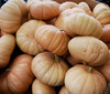 Long Island Cheese Squash Seeds