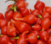 Biquinho Pepper Seeds