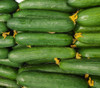 Tendergreen Burpless Cucumber Seeds