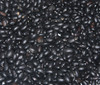 Black Turtle Bean Seeds