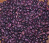Amethyst Bean Seeds