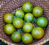 Orange Green Zebra Tomato