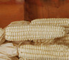 Cherokee White Flour Corn Seeds
