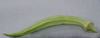 Perkins Long Pod Okra Seeds