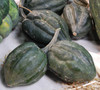 Table Queen Acorn Squash Seeds