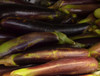 Waimanalo Long Eggplant Seeds