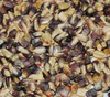 Cherokee White Eagle Corn Seeds