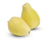 Psidium guajava - Egyptian Guava Seeds