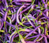 Cayenne Pepper, Long Purple  Seeds