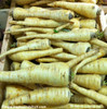 Parsnip, Hollow Crown Seeds
