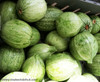 Zucchini, Round of Nice Seeds