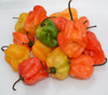 Habanero, Caribbean Mix Seeds