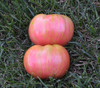 Berkeley Tie Dye Pink Tomato Seeds