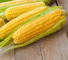Kandy Korn se Sweet Corn Seeds