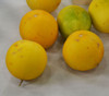 Mango Melon Seeds