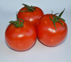 Marglobe Tomato Seeds