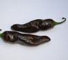 Berbere Pepper Seeds